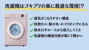 洗濯機 外置き ゴキブリ