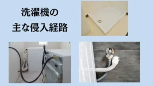 洗濯機 外置き ゴキブリ
