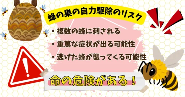 蜂の攻撃性と刺傷リスク