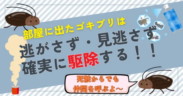 一人でもできるゴキブリの退治方法
