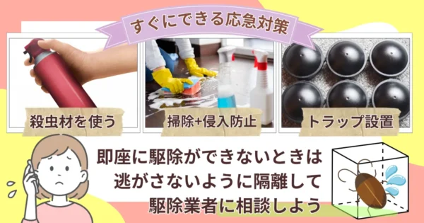 一人暮らしでゴキブリが出たときの応急対策
