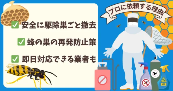 ②巣があるかを確認し蜂駆除の専門業者に相談する