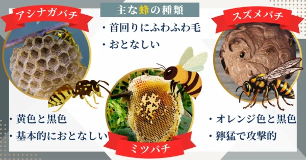 室外機に巣を作りやすい蜂の主な種類