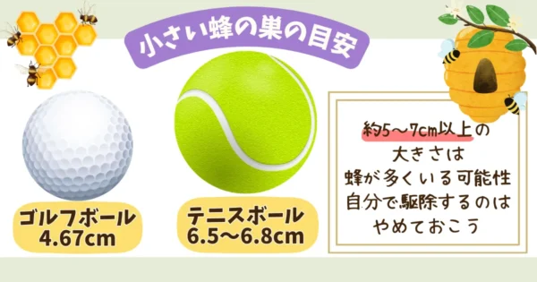 小さな蜂の巣を自分で駆除できるかどうかの判断基準