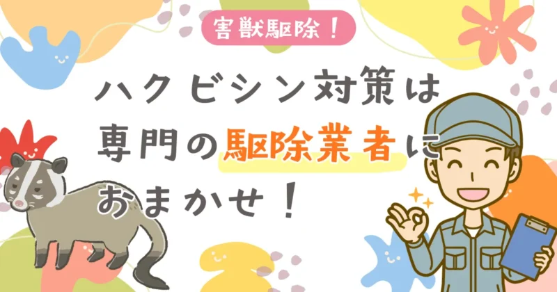 ハクビシン対策におすすめの業者3選!