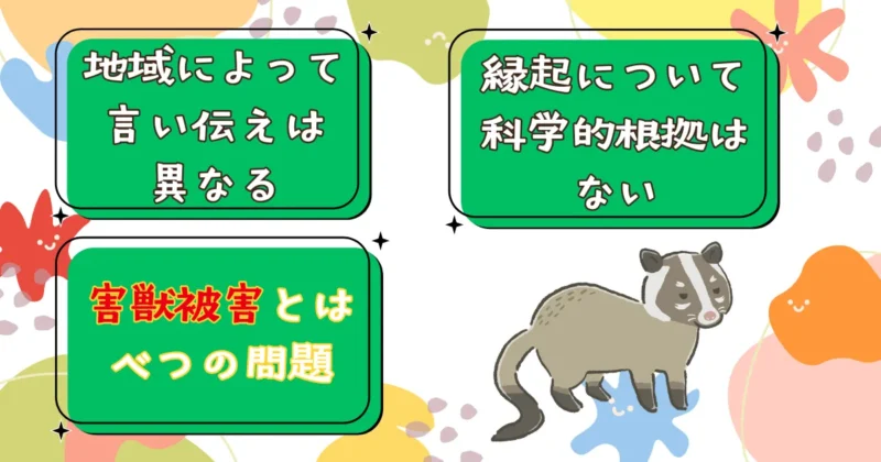 ハクビシンは縁起が良いと言われる?