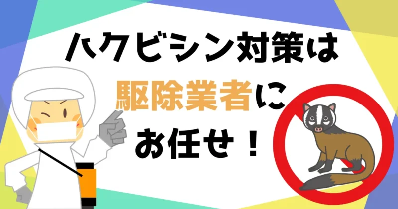 ハクビシン駆除におすすめの業者5選！