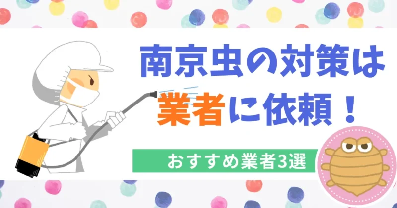 南京虫駆除におすすめの業者3選!
