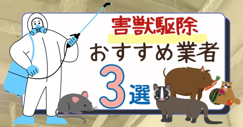 害獣駆除におすすめの業者3選!