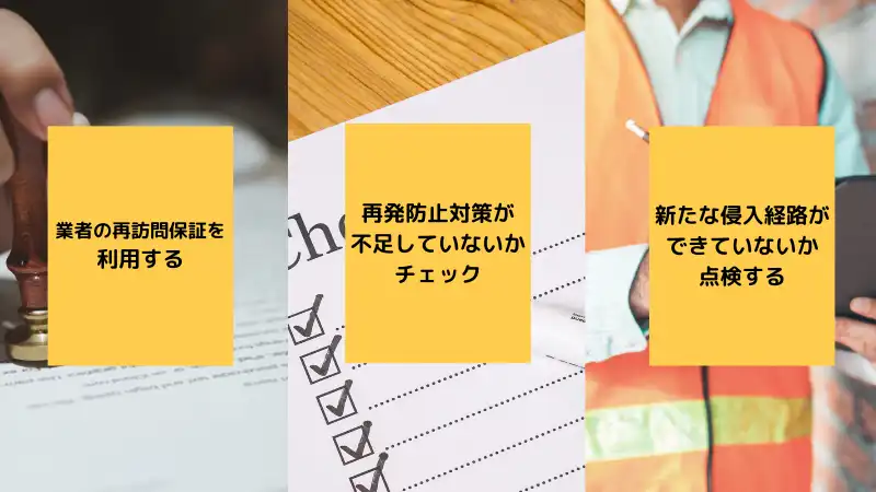 コウモリ駆除　おすすめ