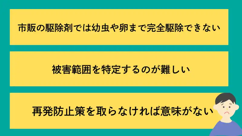 キクイムシ駆除業者　おすすめ