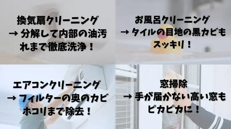 大掃除業者 おすすめ