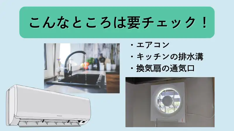 家にネズミが出たら