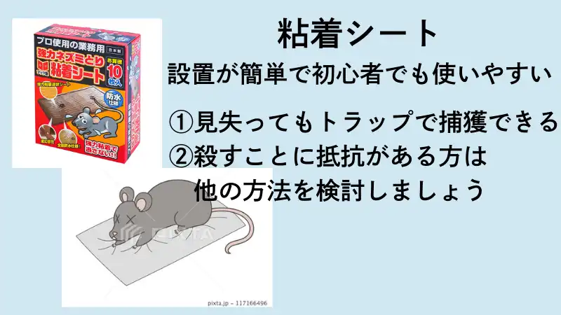 家にネズミが出たら