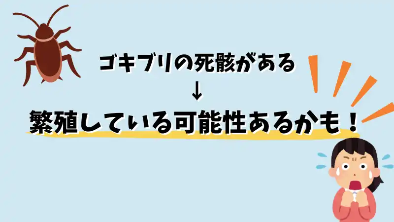ゴキブリ　勝手に死んでいる　