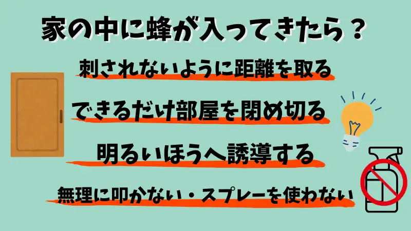 蜂が家に入ってきた
