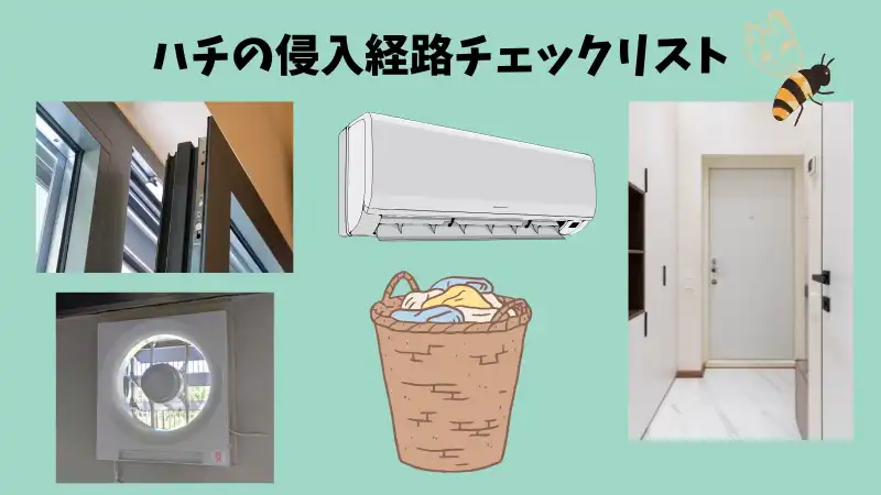 蜂が家に入ってきた