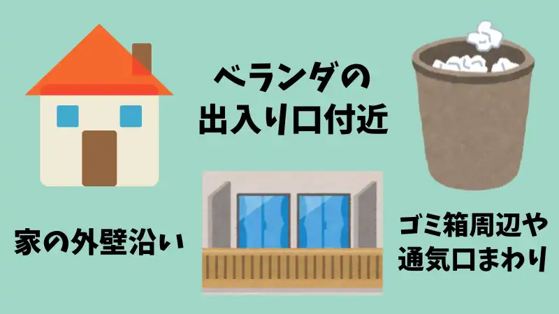 ネズミ　ローズマリー