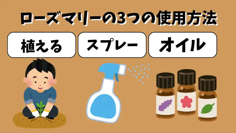 ネズミ　ローズマリー