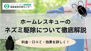 ホームレスキューのネズミ駆除