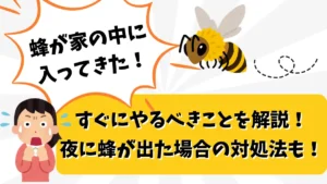 蜂が家に入ってきた