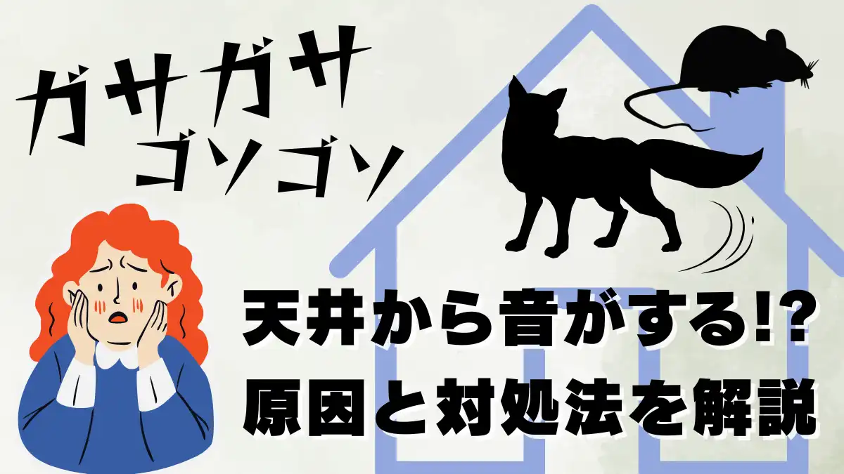 天井 から 音 が する