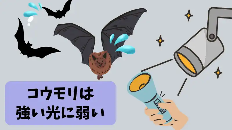 コウモリ　来ないようにするには