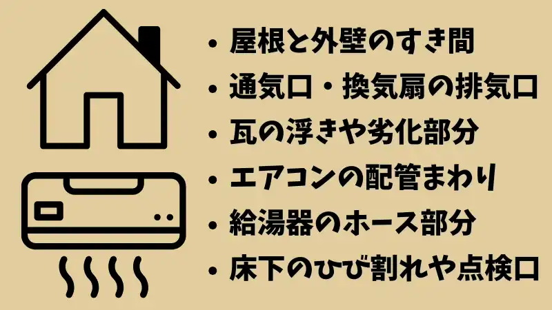 天井から音がする