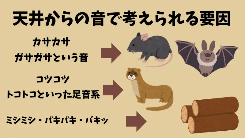 天井から音がする