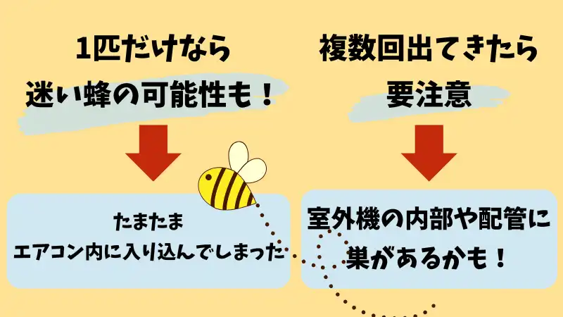 エアコンから蜂