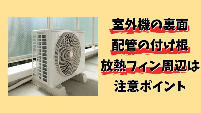 エアコンから蜂