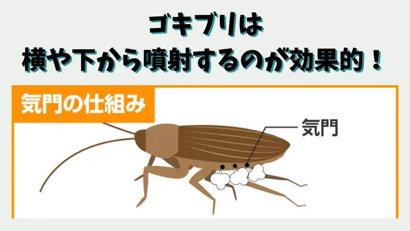 ゴキブリ 殺し方 ファブリーズ