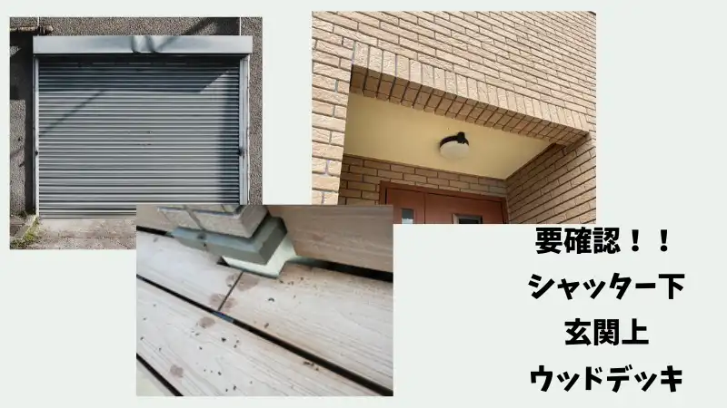 コウモリ　フン　少量