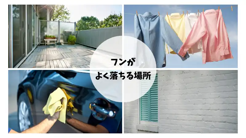 ハチのフン　画像