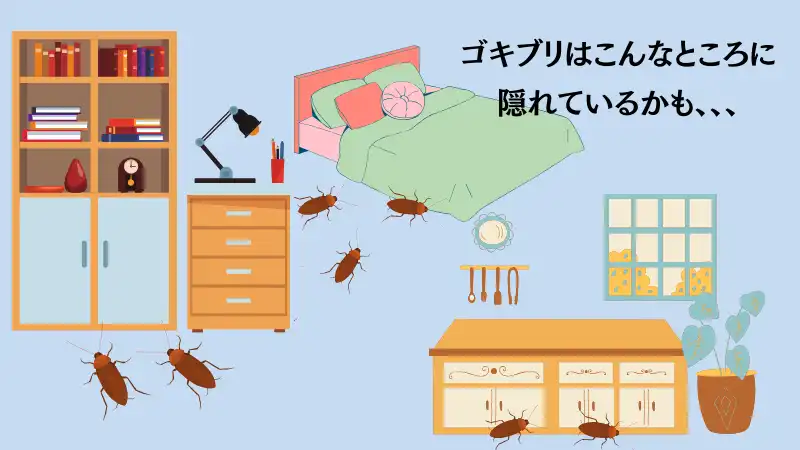 ゴキブリ 見失った 寝る