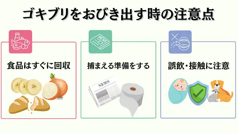 ゴキブリ 見失った 寝る