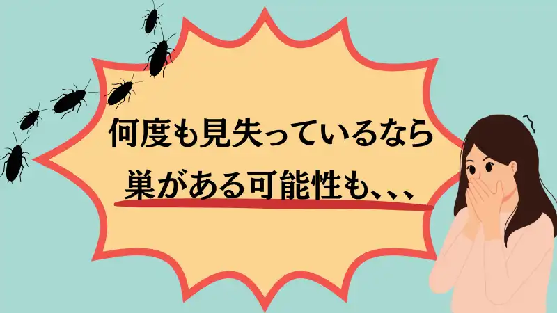 ゴキブリ 見失った 寝る