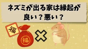 ネズミ　出る家　縁起