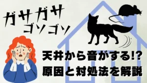 天井から音がする