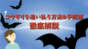 コウモリ　来ないようにするには