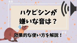 ハクビシン　嫌いな音