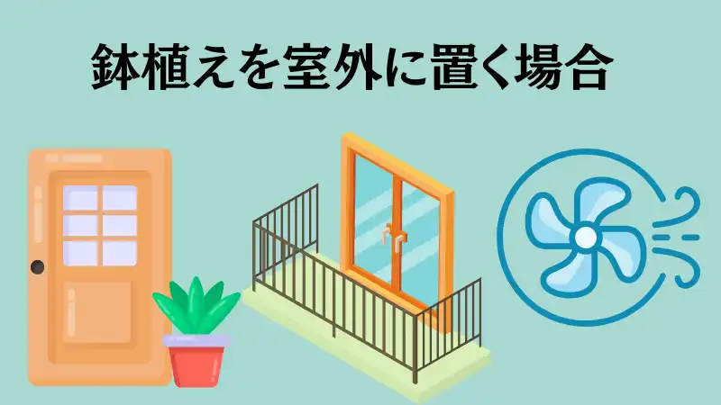 ミント栽培　ゴキブリ