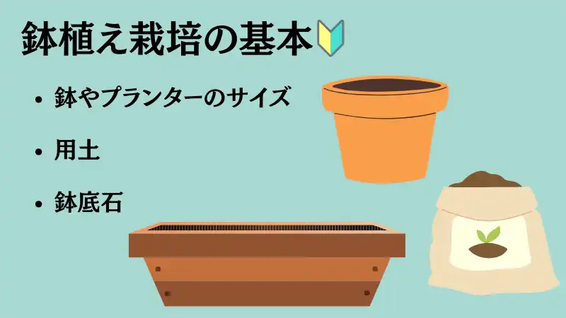 ミント栽培　ゴキブリ