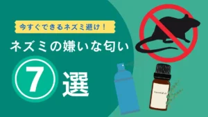 ネズミの嫌いな匂い
