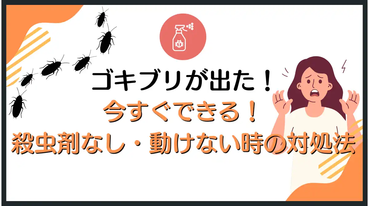 ゴキブリ退治、今すぐできる！殺虫剤なし・怖くて動けないときの最終対処法 – 暮らしトク