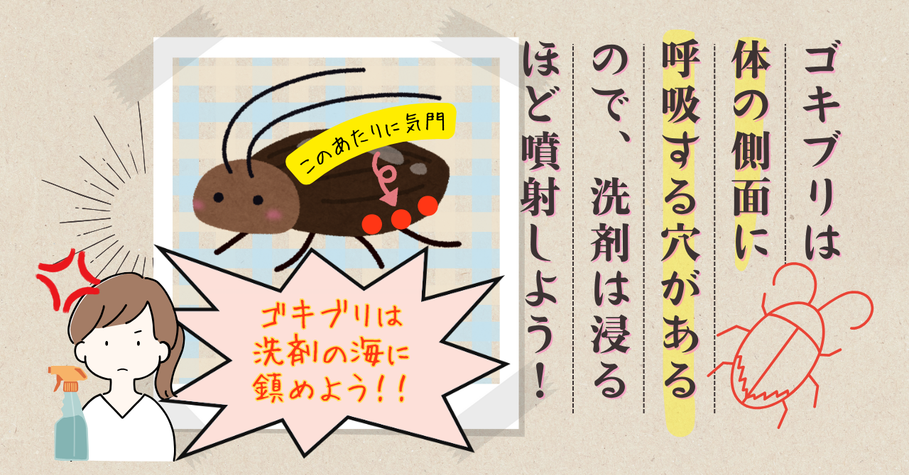 ゴキブリが洗剤で死ぬ仕組み