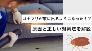 急にゴキブリが出るようになった