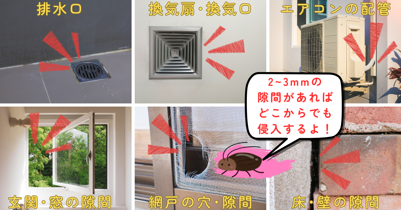 ゴキブリの侵入経路をふさぐ