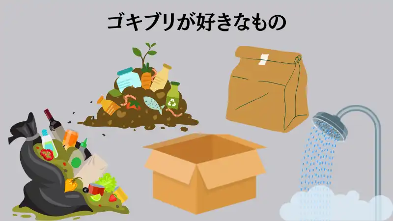 ゴキブリ 退治 今すぐ