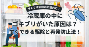 冷蔵庫の中にゴキブリがいた原因は？すぐできる駆除と再発防止法！